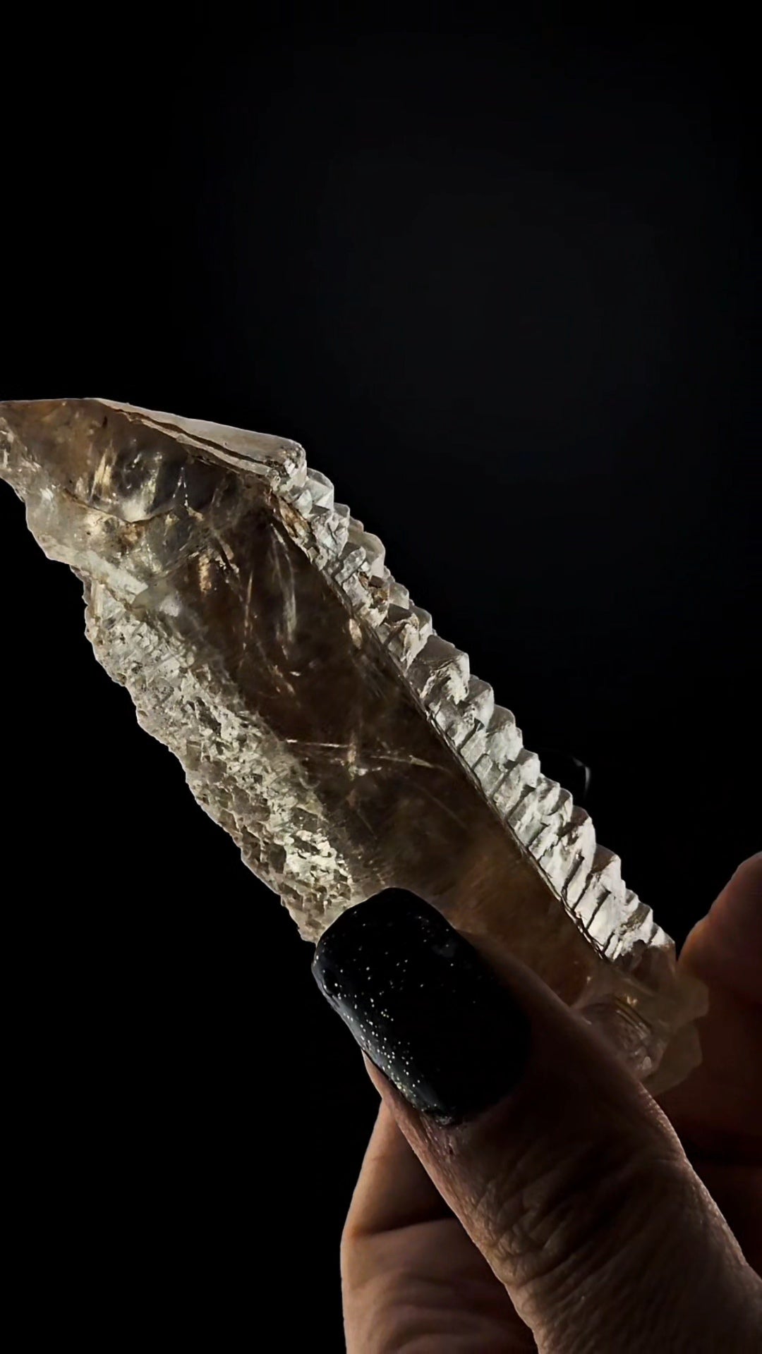 Ancient Sage Etched Muzoesque Point from Para Brazil