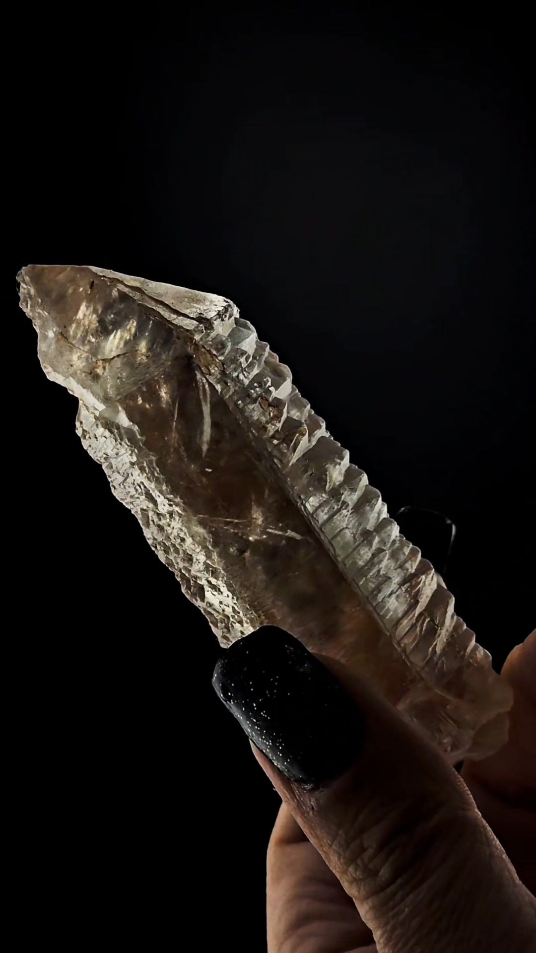 Ancient Sage Etched Muzoesque Point from Para Brazil