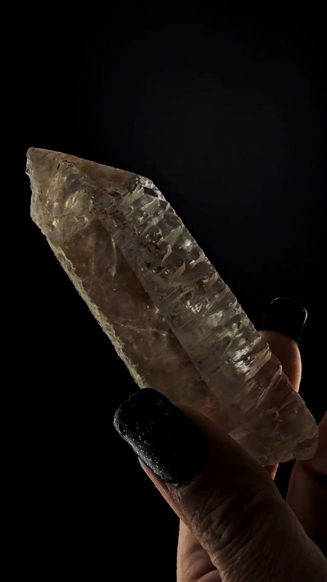 Ancient Sage Etched Muzoesque Point from Para Brazil