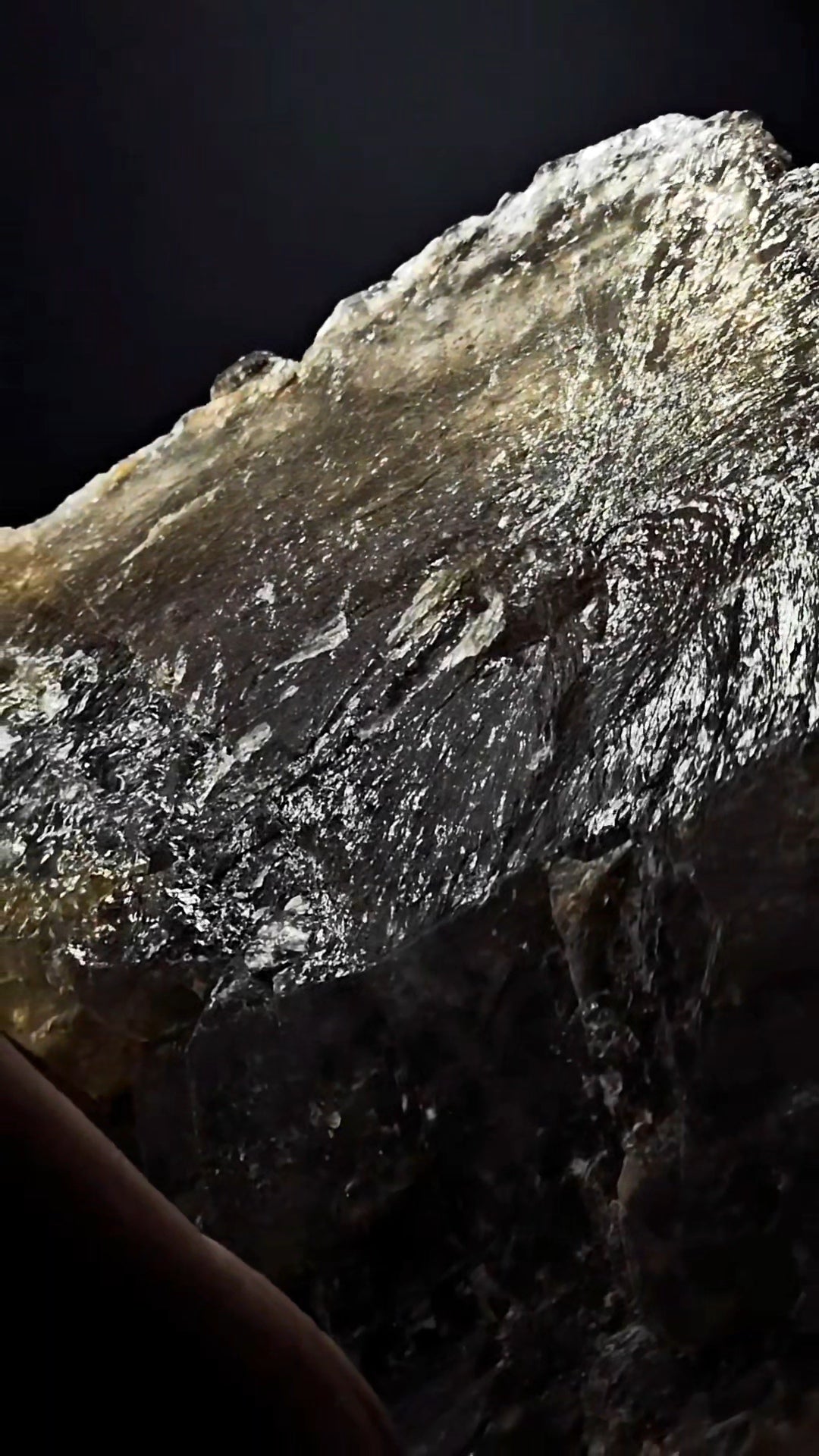 Big Bear Claw Smoky Number