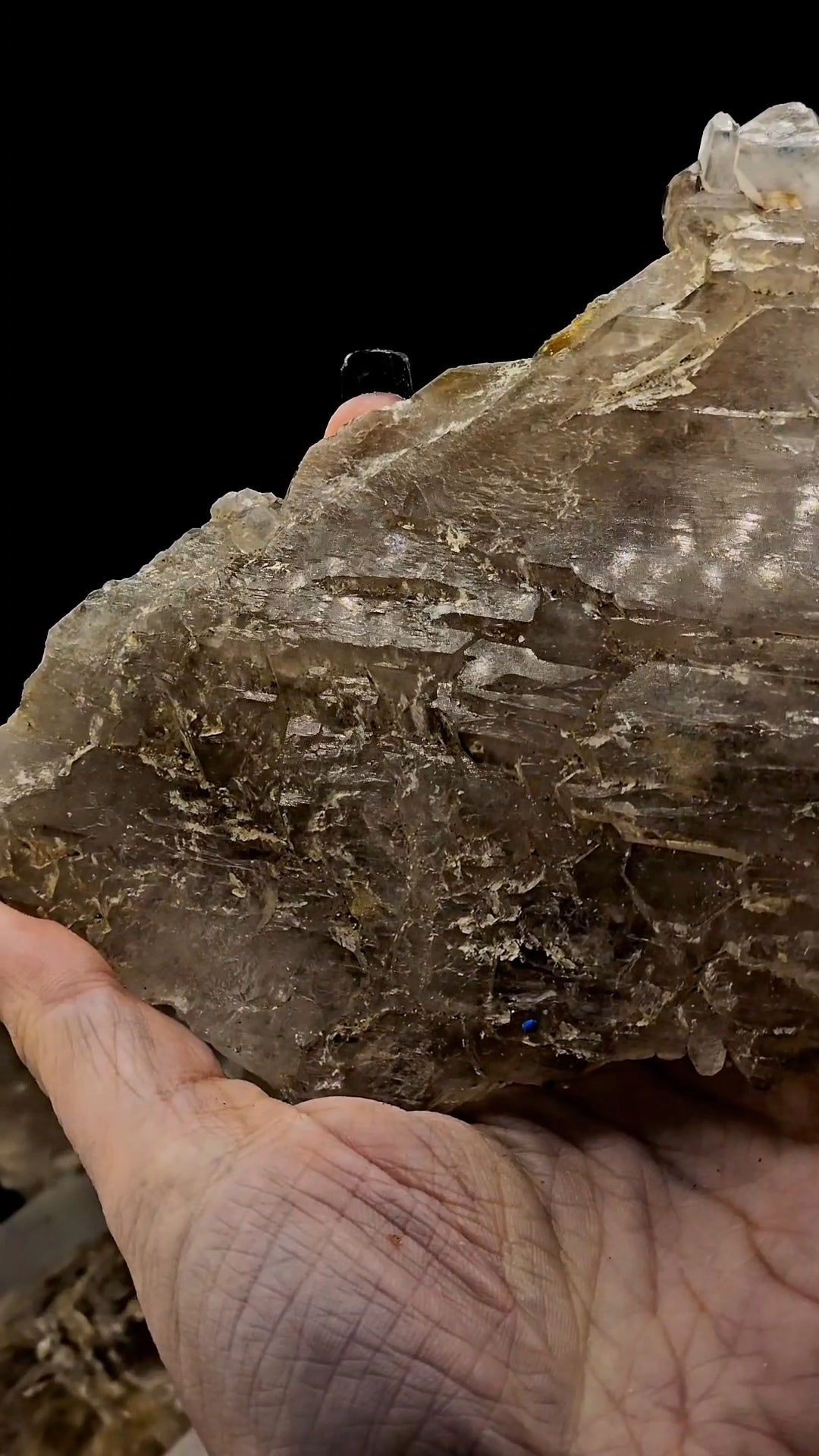 Corinto Brazil Old Stock Elestial