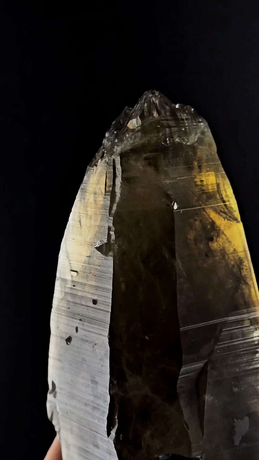 Smoky Citrine Massive Double Termination with coronal Termination