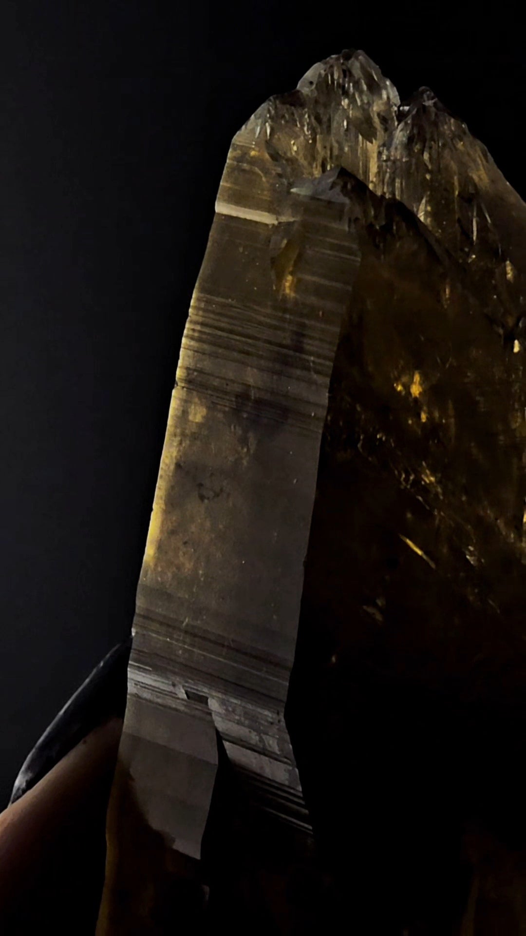 Smoky Citrine Massive Double Termination with coronal Termination