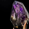 Little Ones Claim Smoky Amethyst Goboboseb Semi Scepter