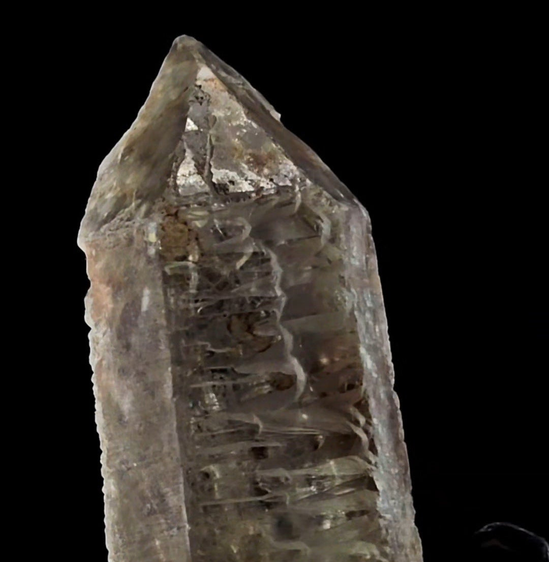 Ancient Sage Etched Muzoesque Point from Para Brazil