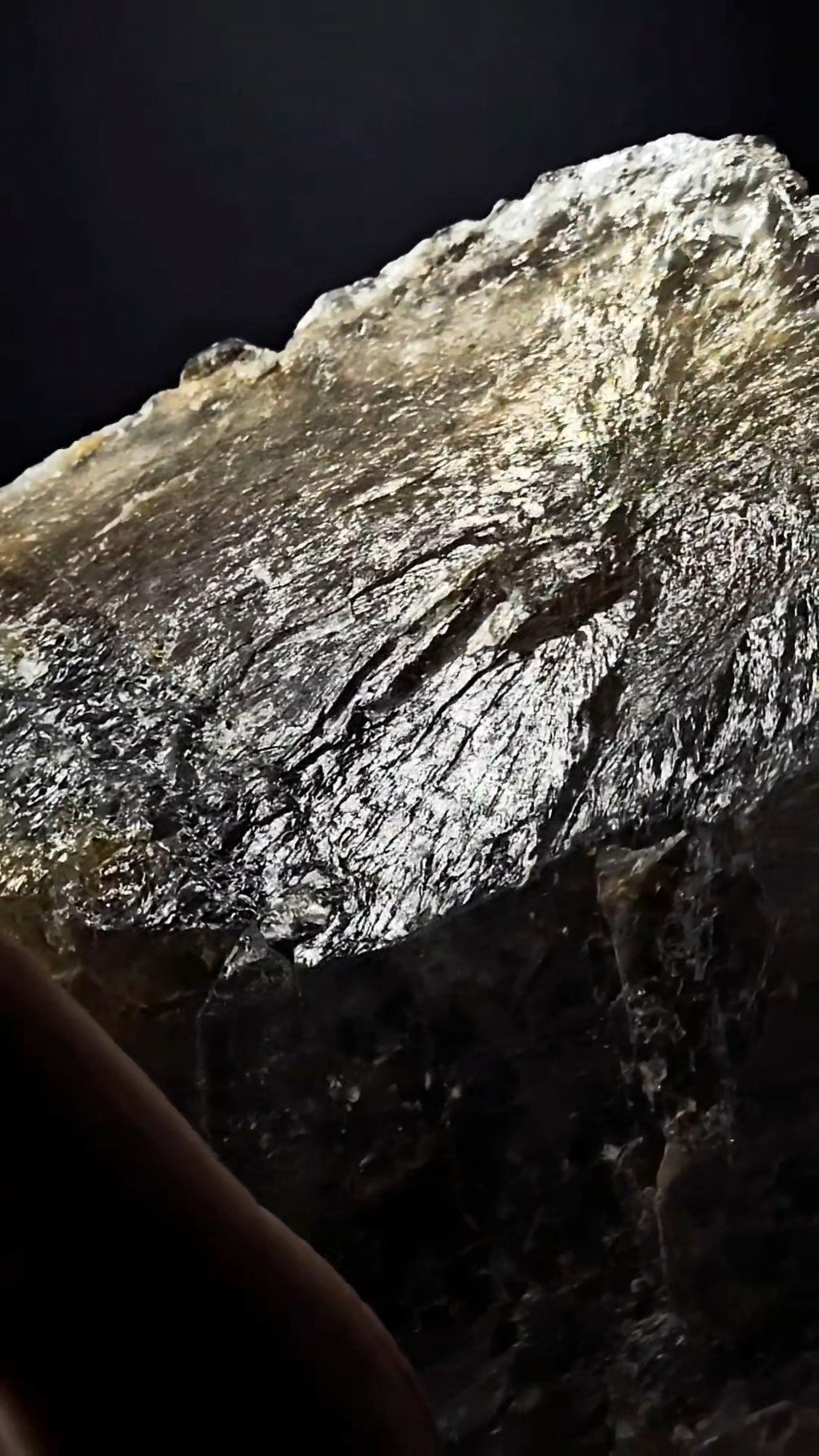 Big Bear Claw Smoky Number