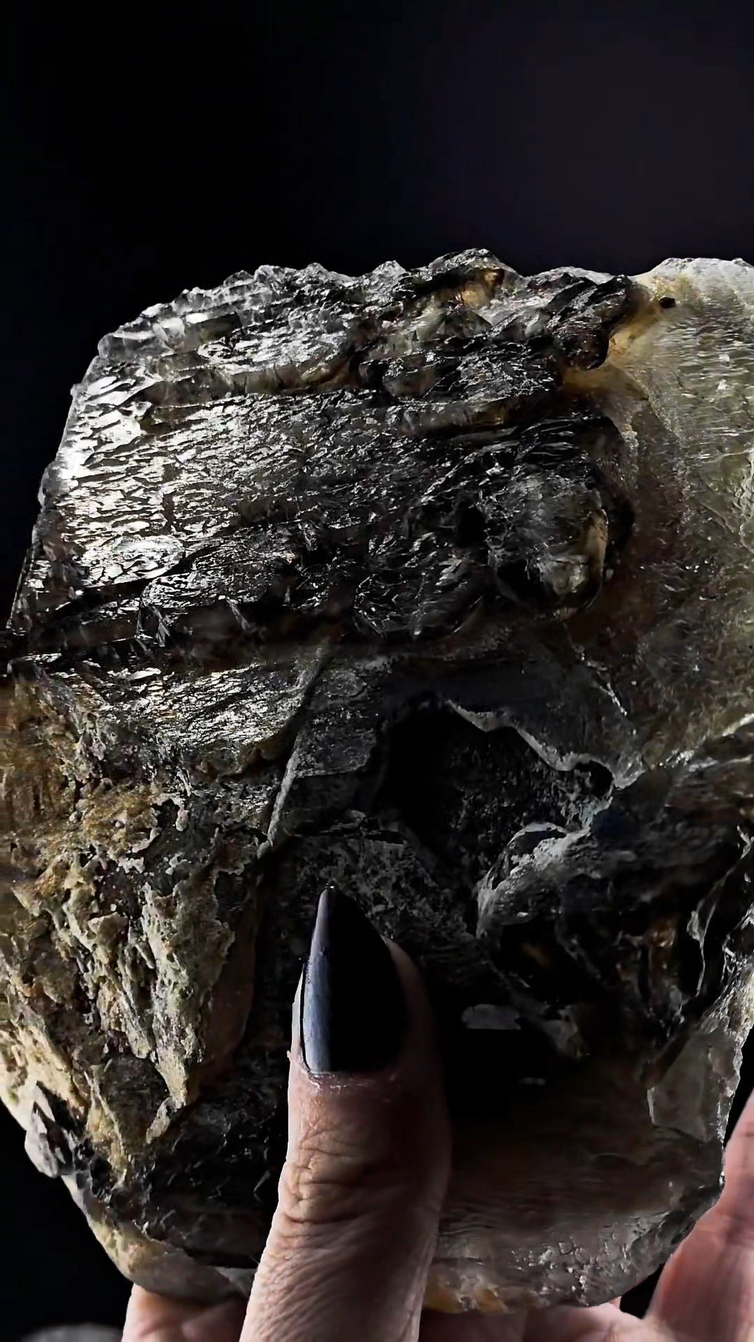 Big Bear Claw Smoky Number