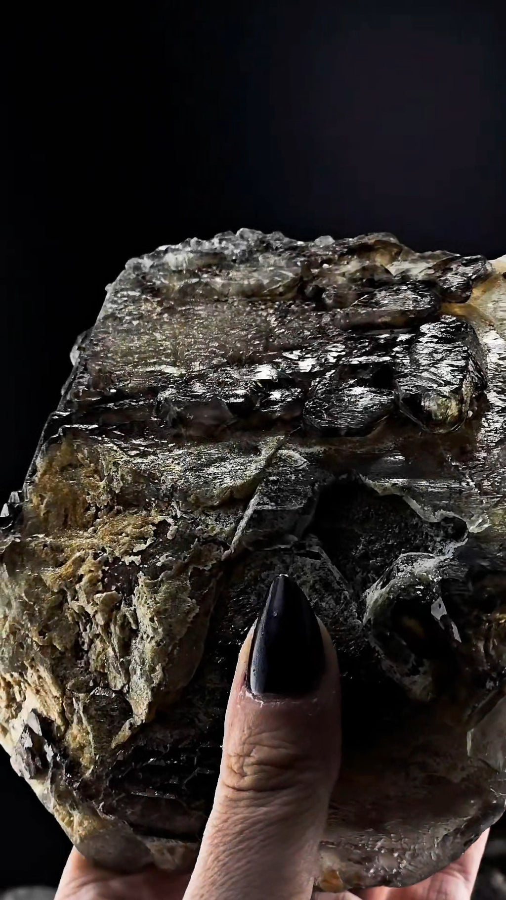 Big Bear Claw Smoky Number