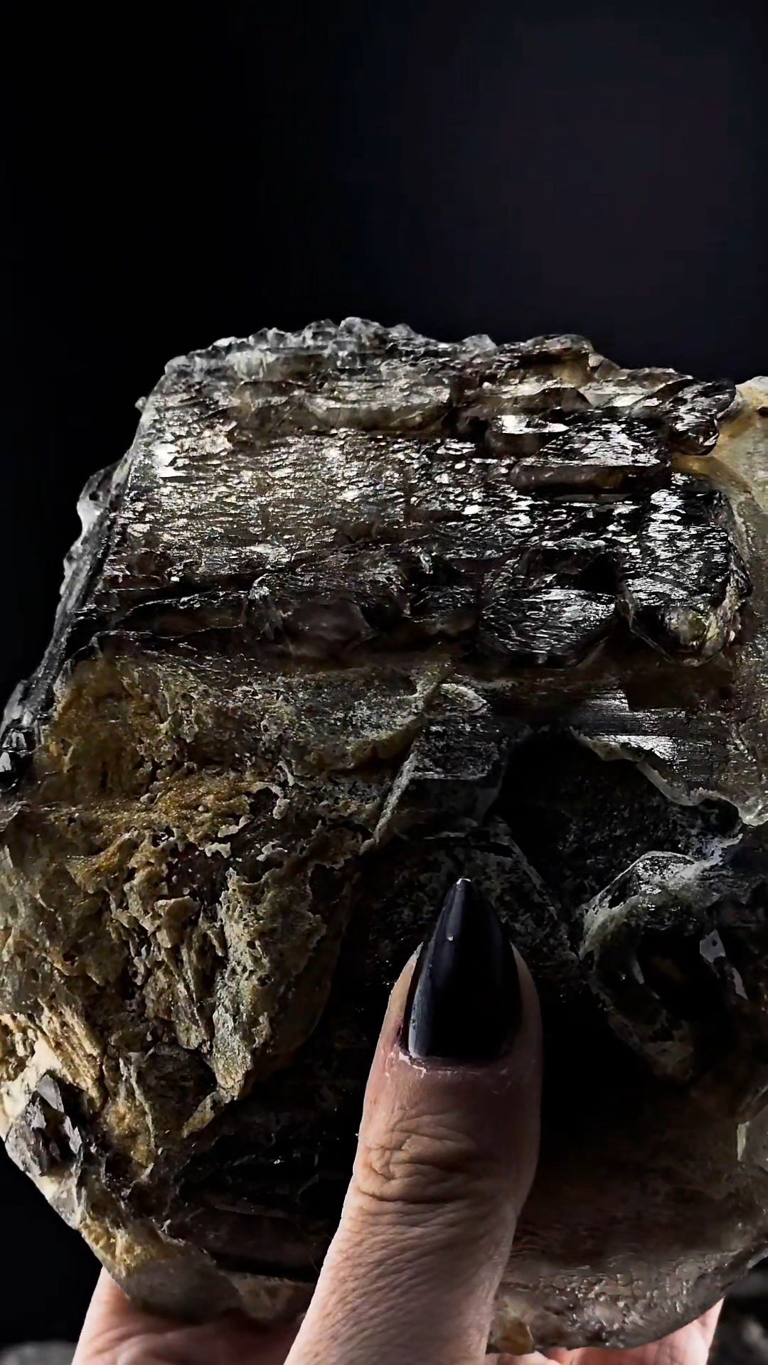 Big Bear Claw Smoky Number