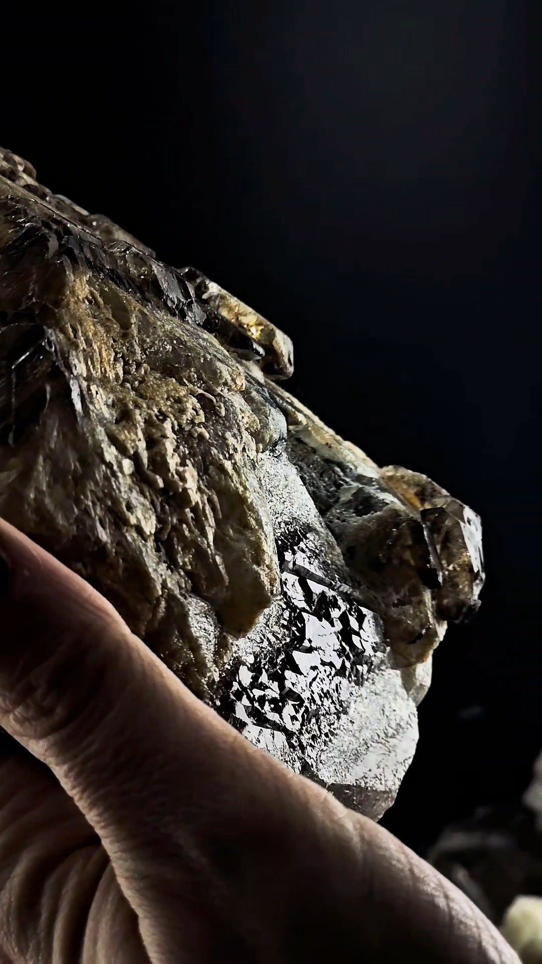 Big Bear Claw Smoky Number