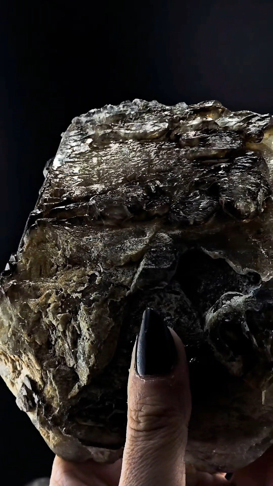 Big Bear Claw Smoky Number