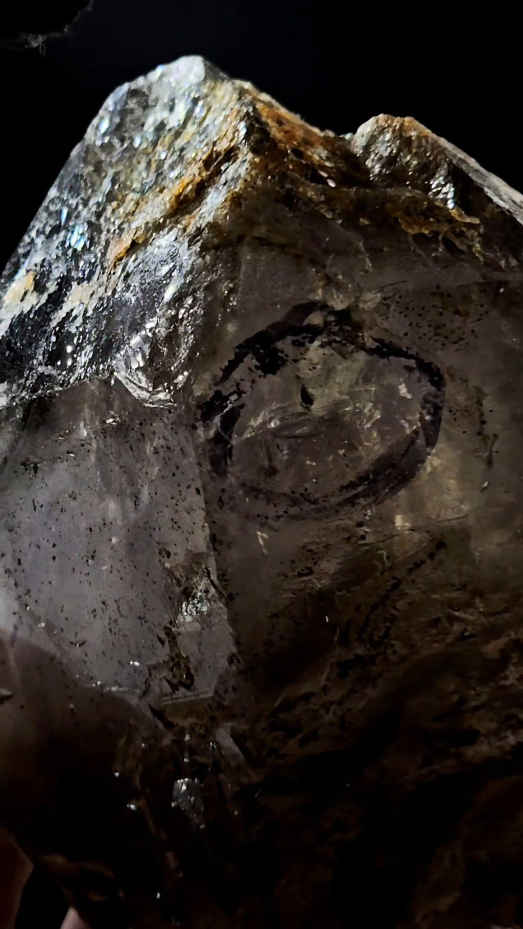 Mondo Smoky Amethyst Scepter Enhydro w Lightning Etching