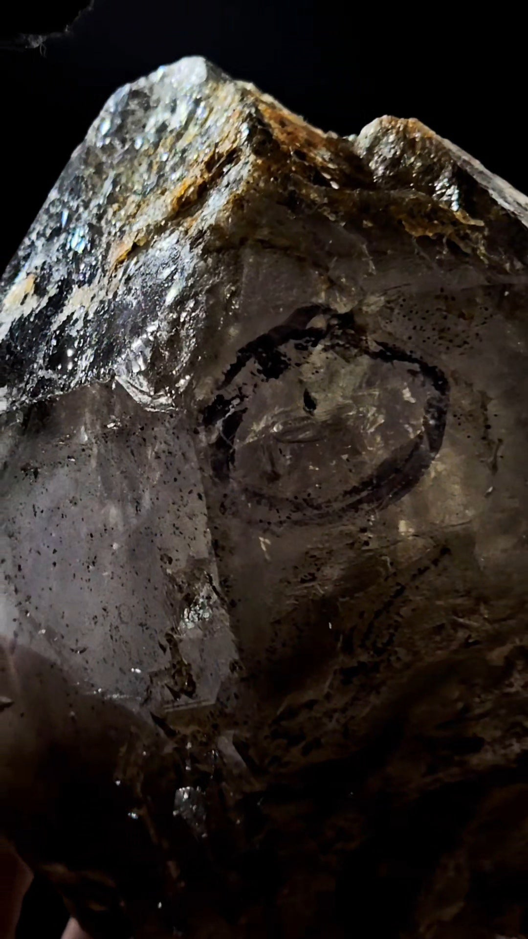 Mondo Smoky Amethyst Scepter Enhydro w Lightning Etching