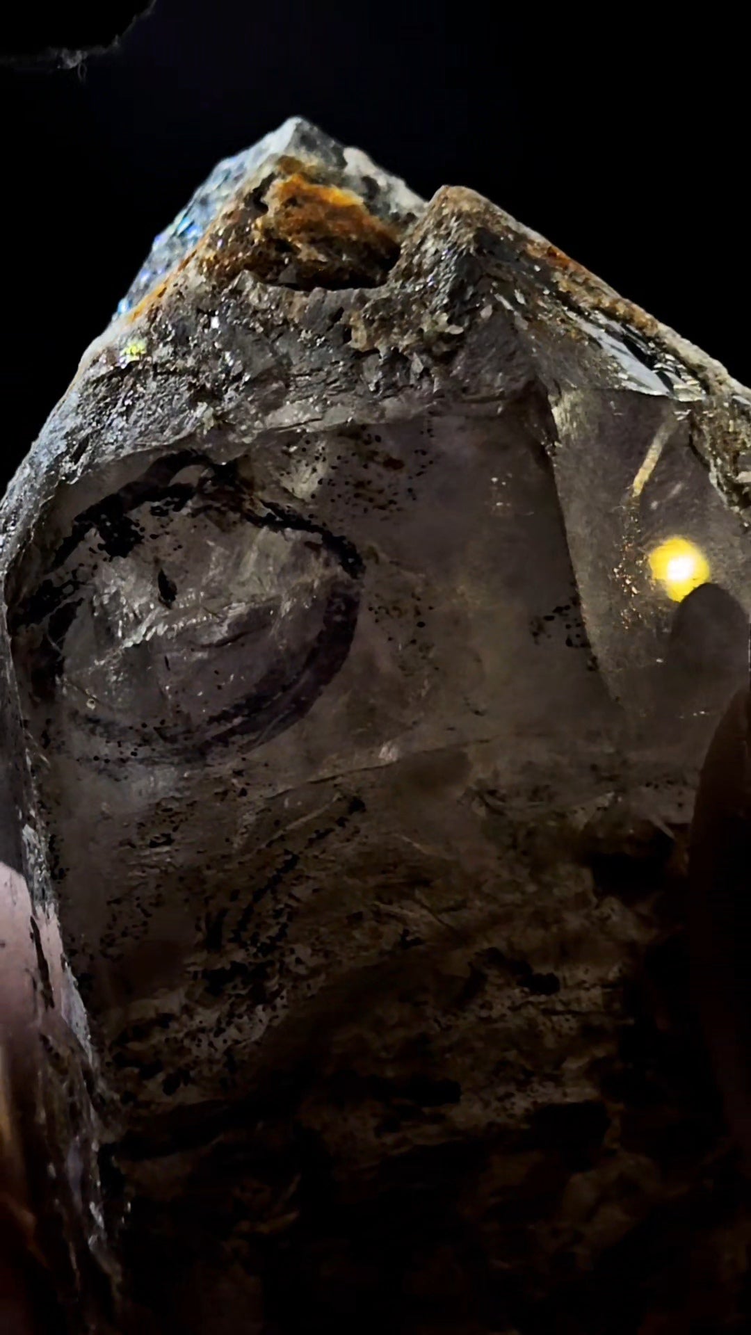 Mondo Smoky Amethyst Scepter Enhydro w Lightning Etching