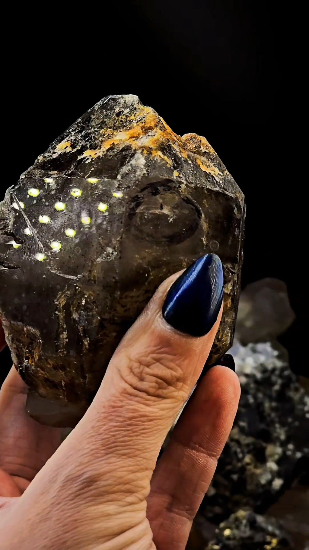 Mondo Smoky Amethyst Scepter Enhydro w Lightning Etching