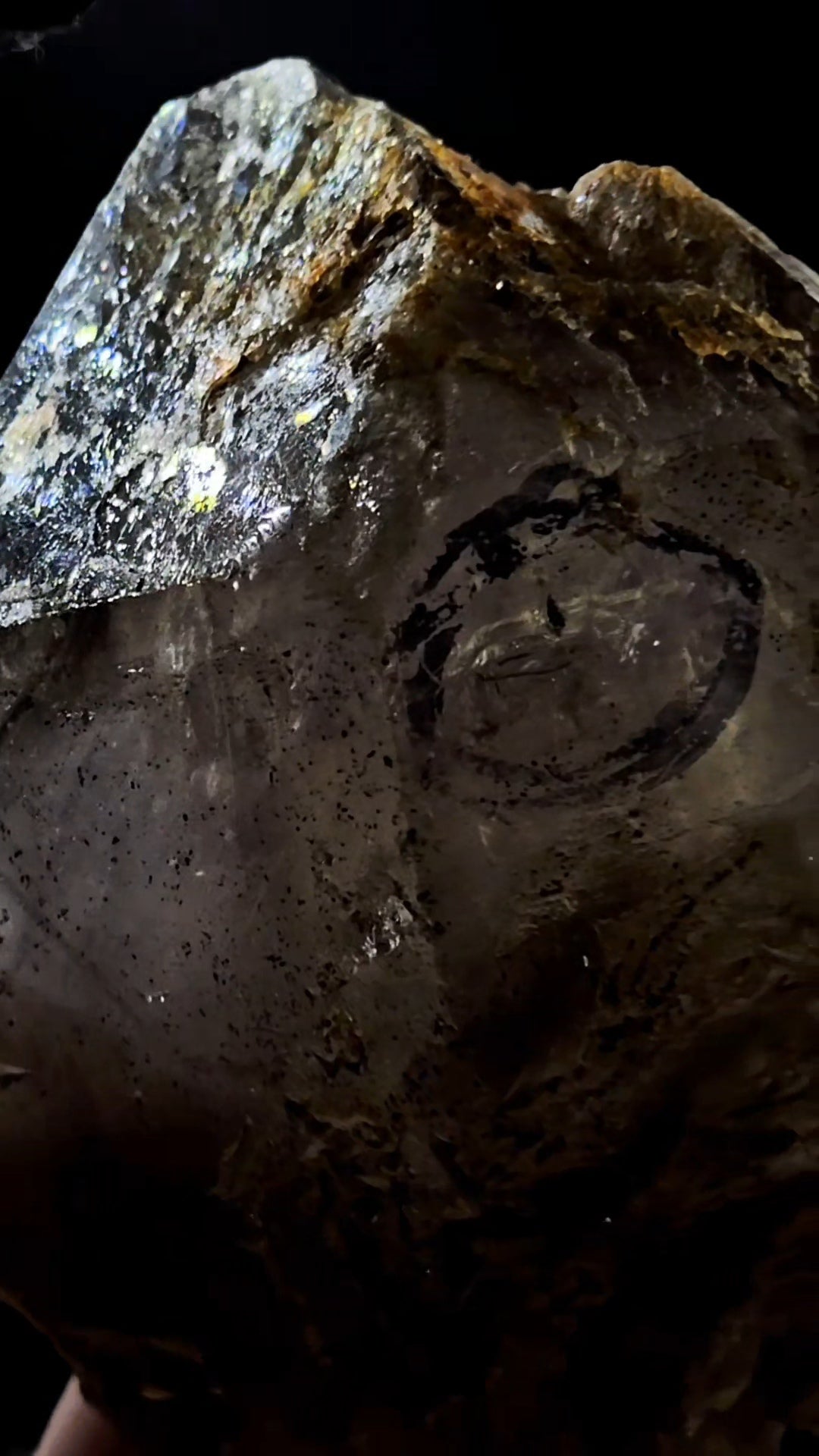 Mondo Smoky Amethyst Scepter Enhydro w Lightning Etching