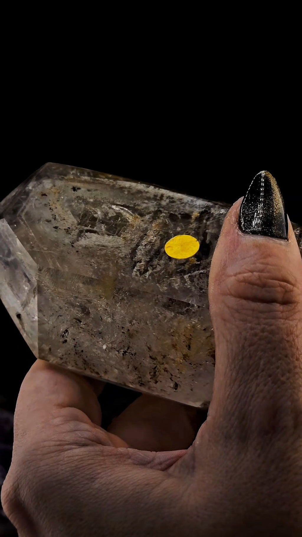 Mega Enhydro Water Included Polished Elestial from Sandy Berthelot Collection