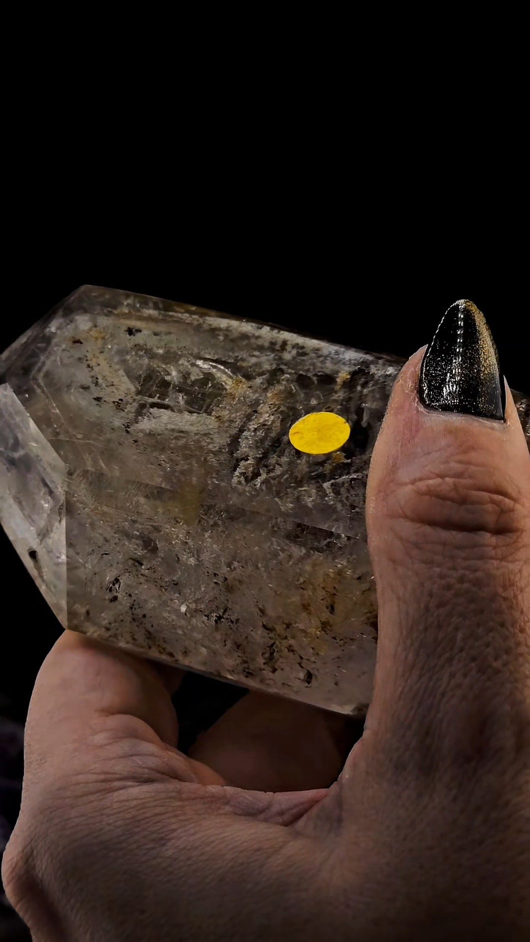 Mega Enhydro Water Included Polished Elestial from Sandy Berthelot Collection