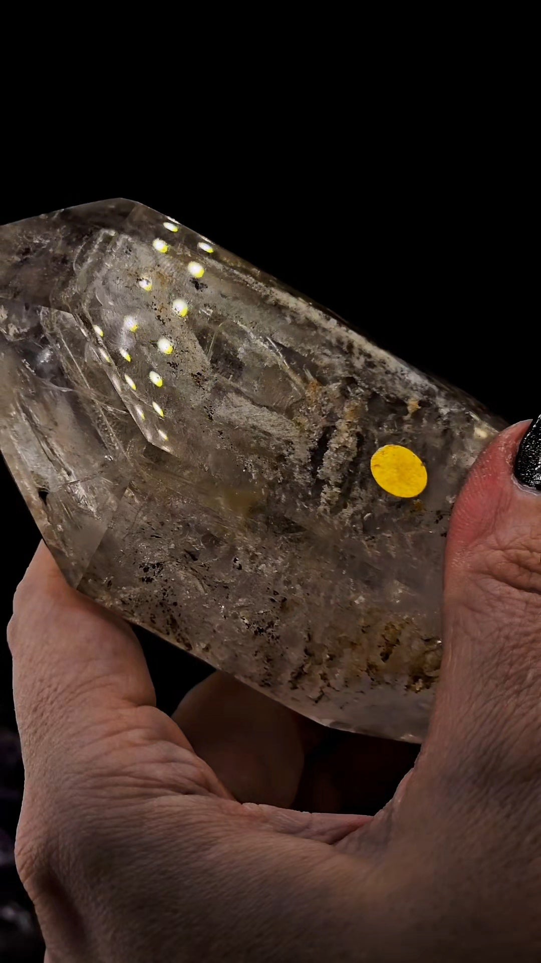 Mega Enhydro Water Included Polished Elestial from Sandy Berthelot Collection