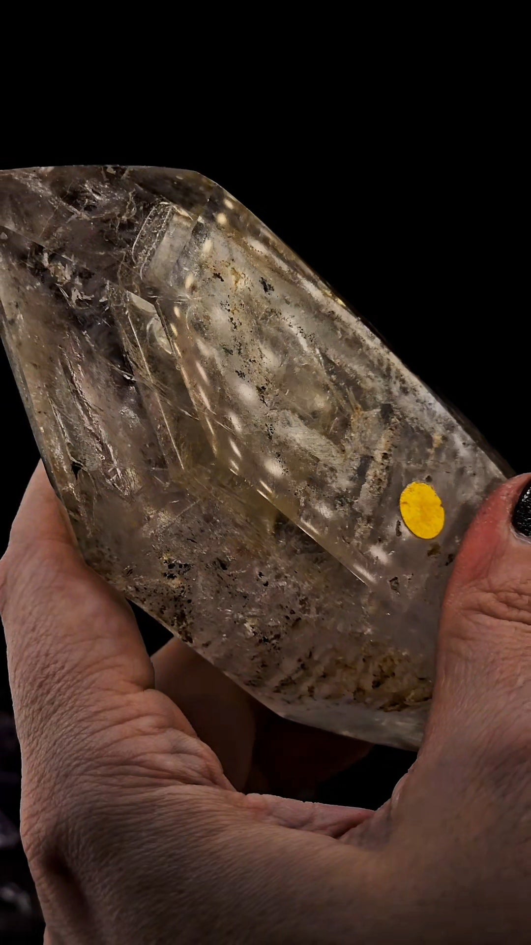 Mega Enhydro Water Included Polished Elestial from Sandy Berthelot Collection