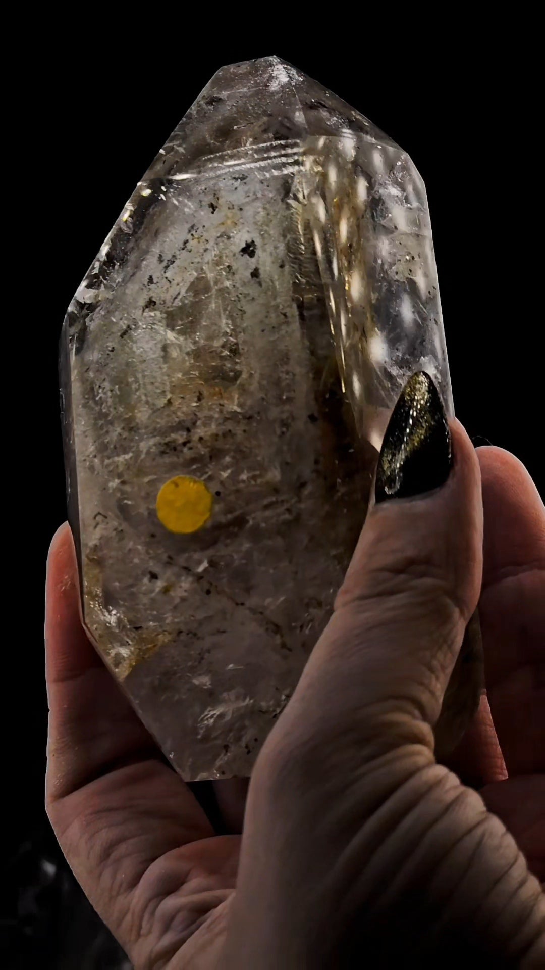 Mega Enhydro Water Included Polished Elestial from Sandy Berthelot Collection