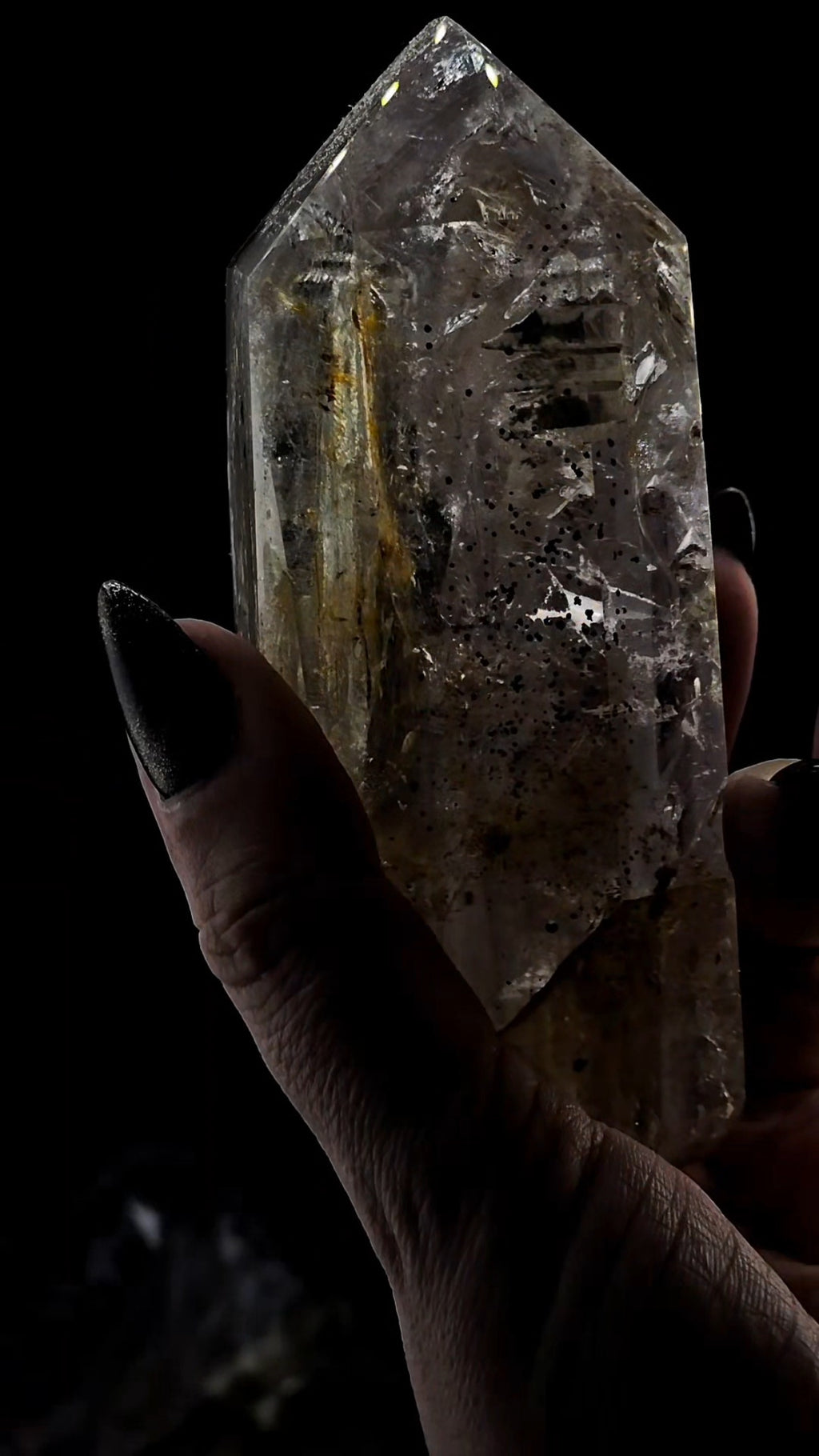 Mega Enhydro Water Included Polished Elestial from Sandy Berthelot Collection