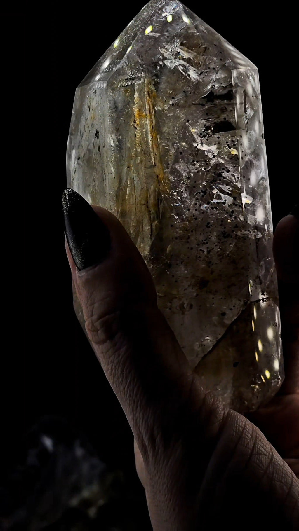 Mega Enhydro Water Included Polished Elestial from Sandy Berthelot Collection