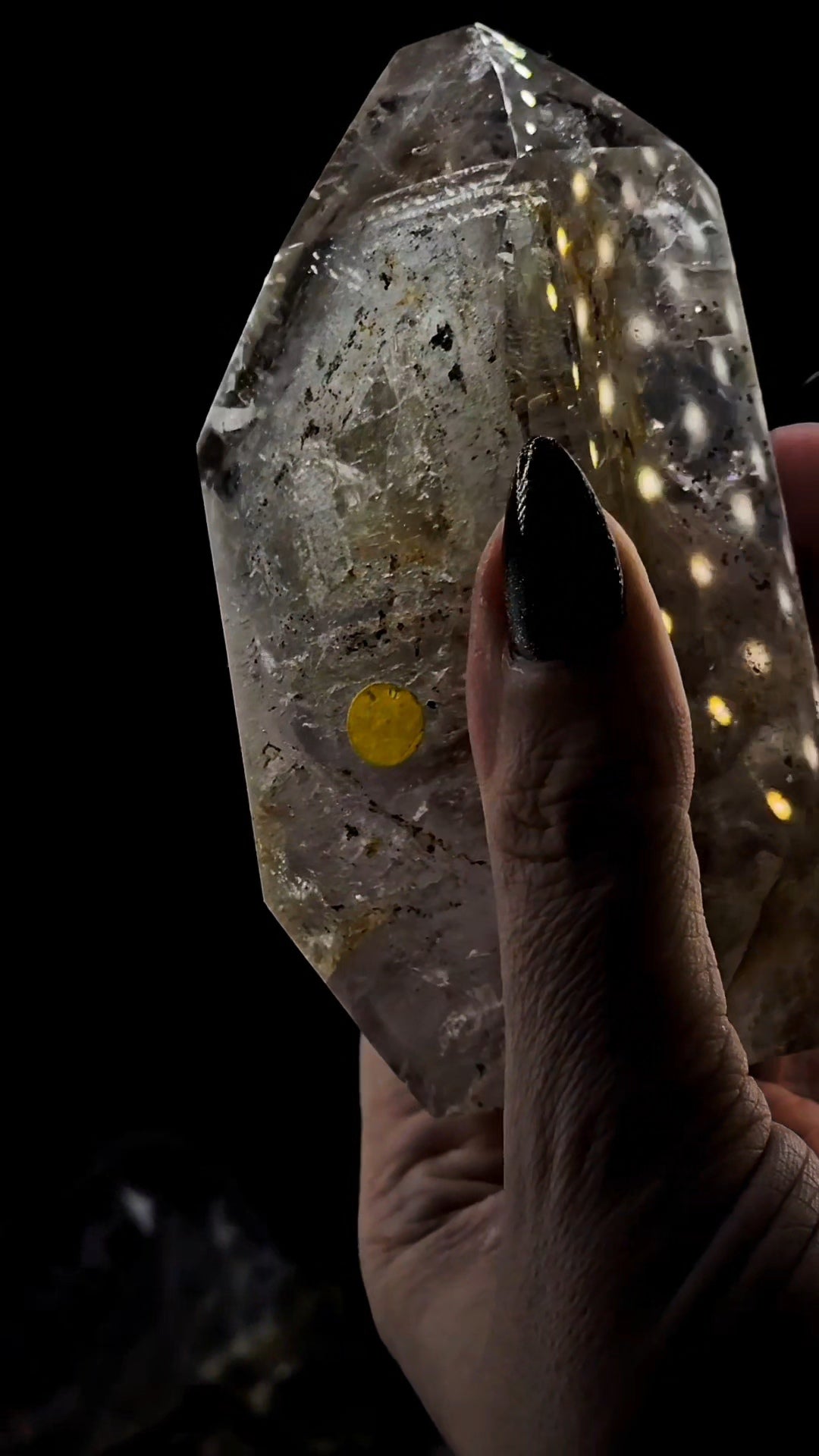 Mega Enhydro Water Included Polished Elestial from Sandy Berthelot Collection