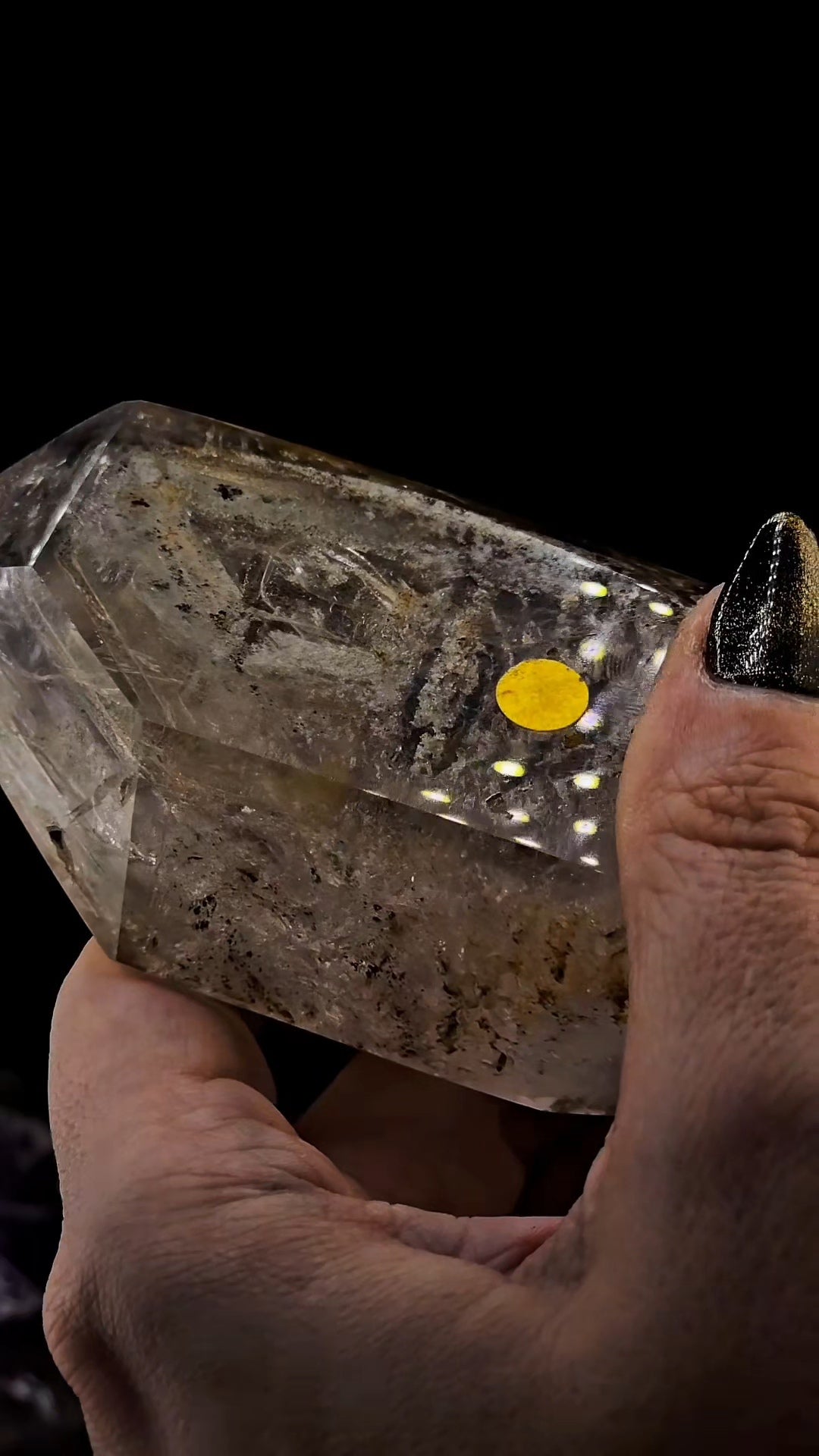 Mega Enhydro Water Included Polished Elestial from Sandy Berthelot Collection