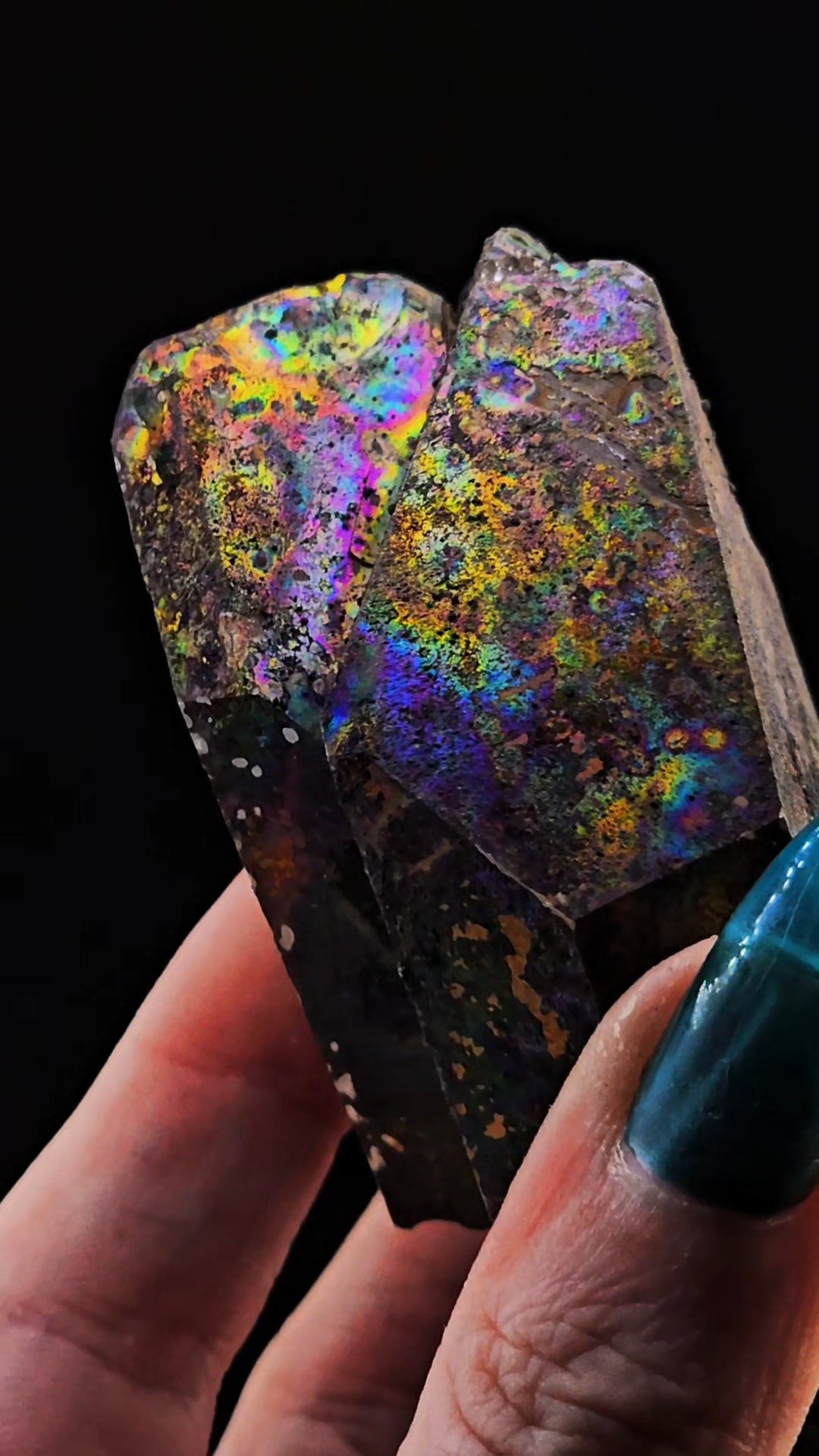 Rainbow Arkansas Twin