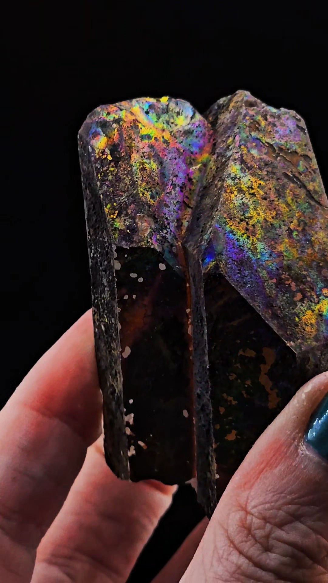 Rainbow Arkansas Twin