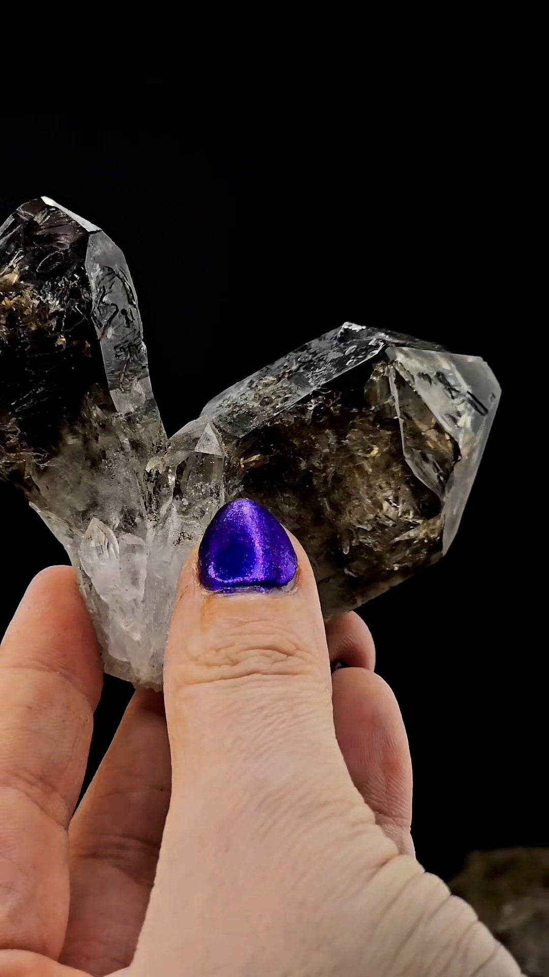 Twin Skeletal Goboboseb Smoky Points