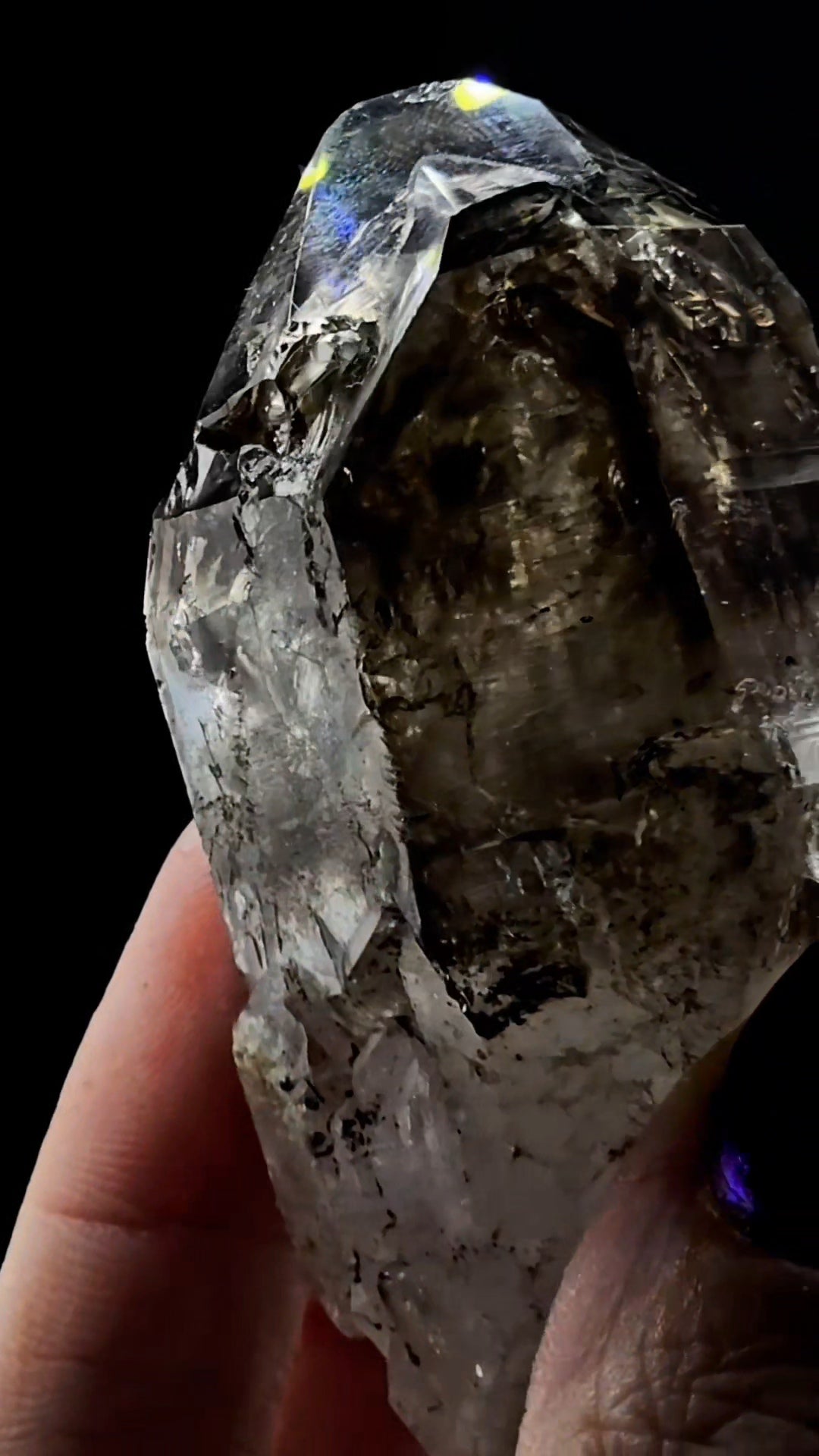 Twin Skeletal Goboboseb Smoky Points