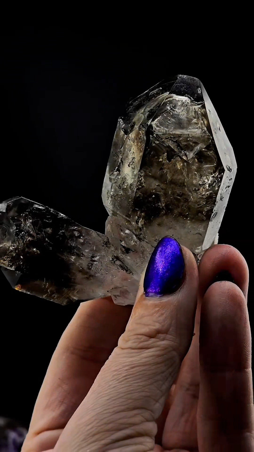 Twin Skeletal Goboboseb Smoky Points