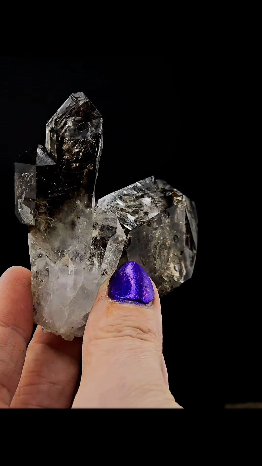 Twin Skeletal Goboboseb Smoky Points