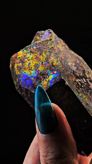 Descriptive image text