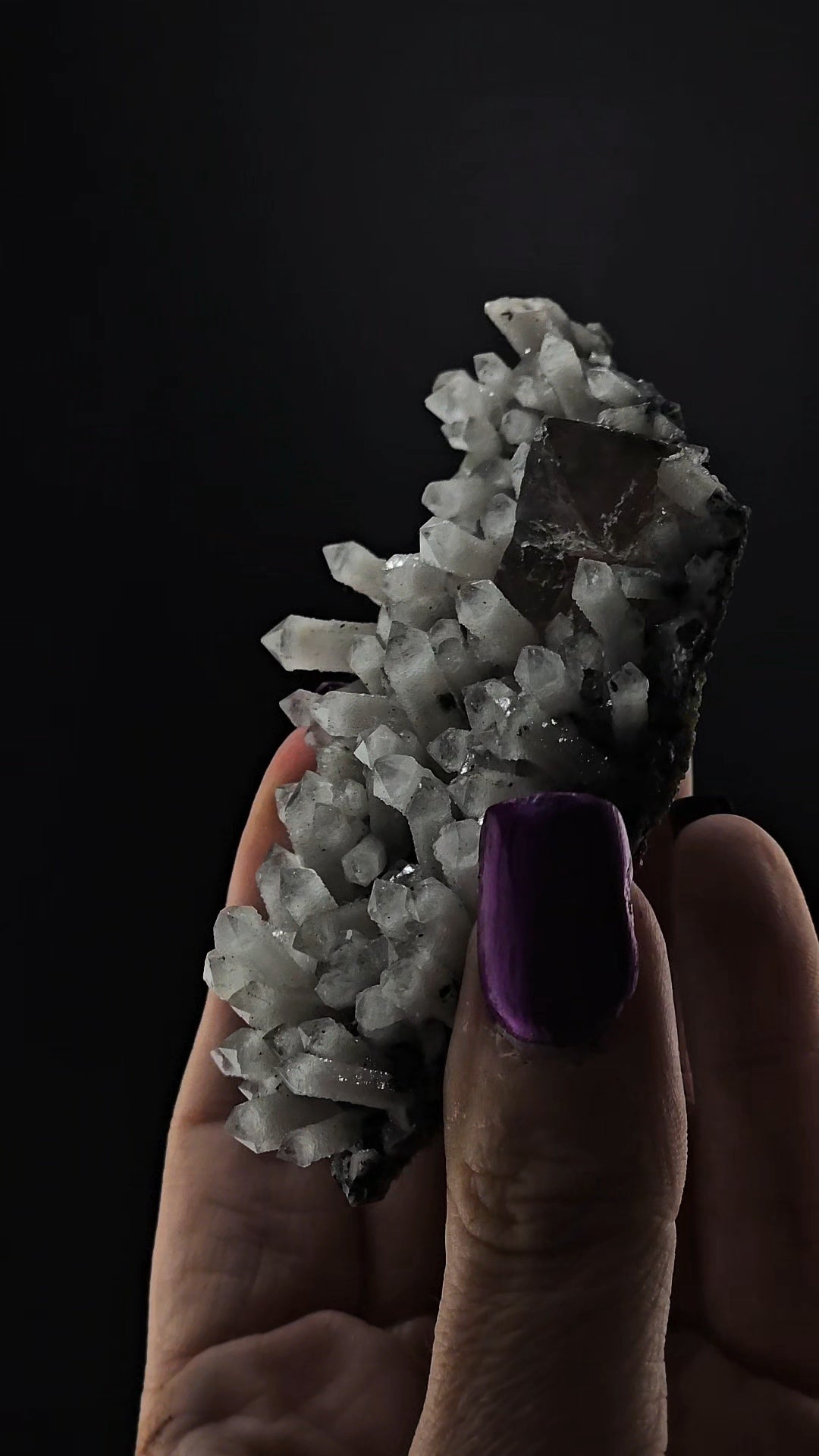 Inner Mongolian Dragon Scale Quartz Mini Cluster with Fluorite