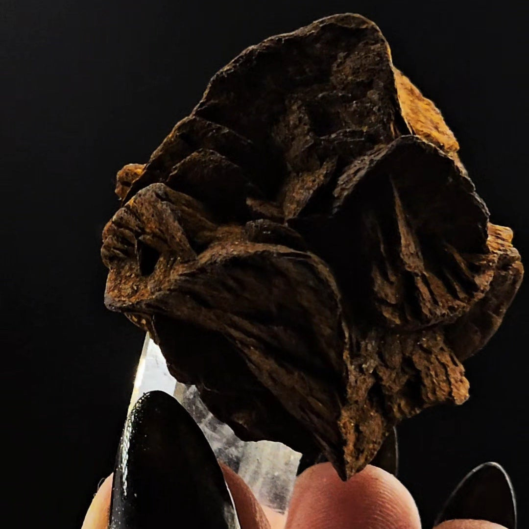 Siderite Coated Clear Quartz Point from Santander