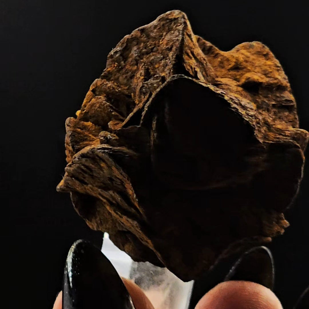 Siderite Coated Clear Quartz Point from Santander