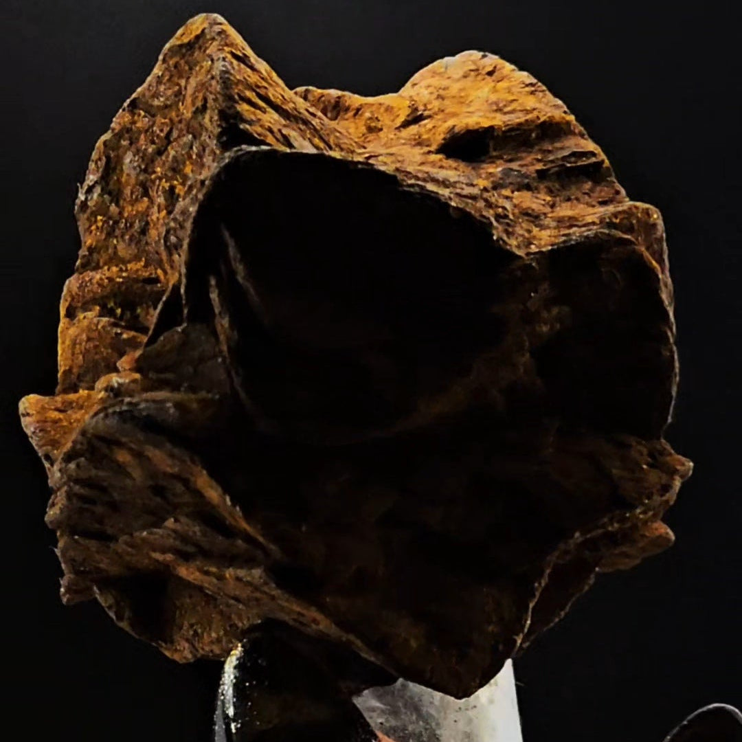 Siderite Coated Clear Quartz Point from Santander