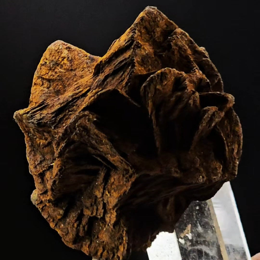 Siderite Coated Clear Quartz Point from Santander