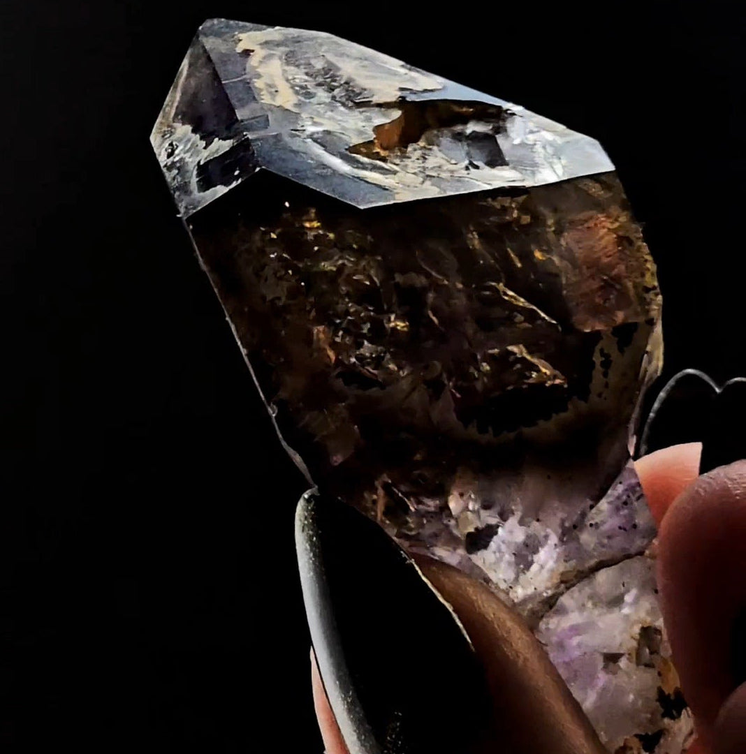 Little Ones Claim Goboboseb Scepter