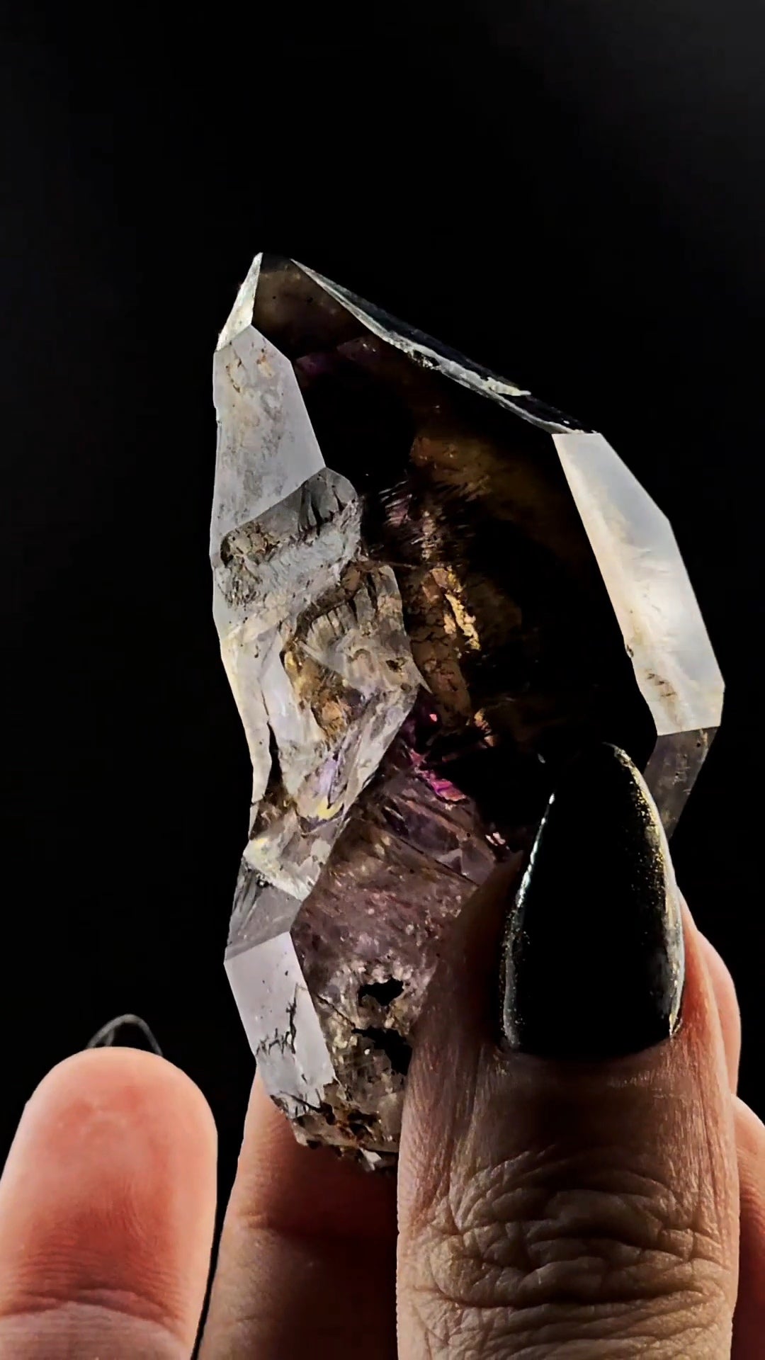 Little Ones Claim Goboboseb Scepter