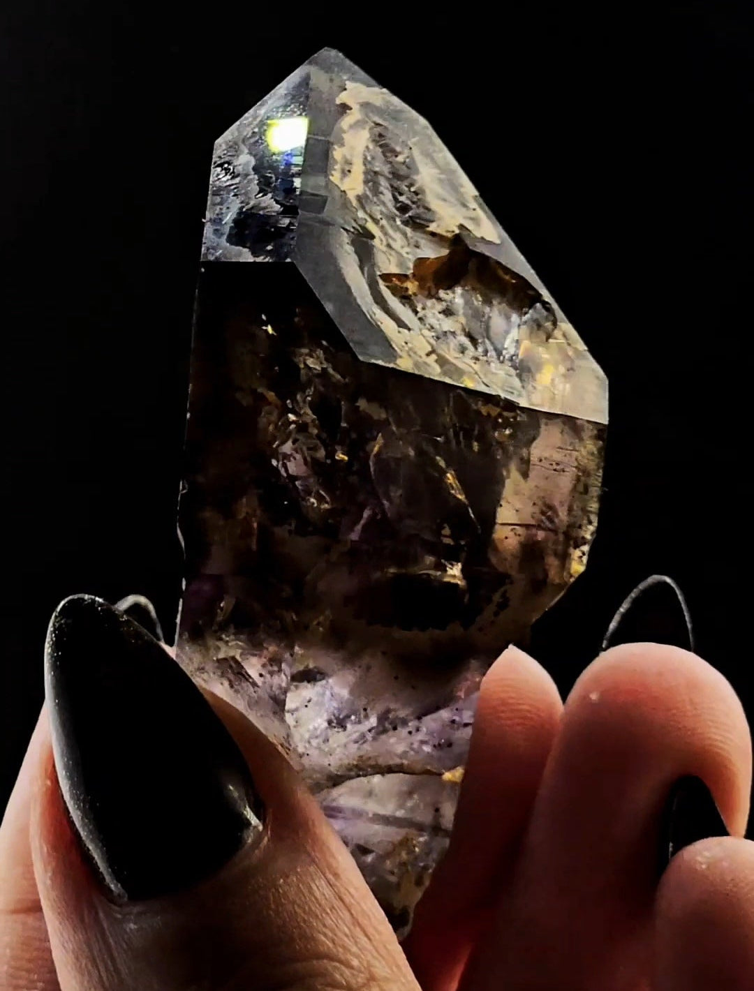 Little Ones Claim Goboboseb Scepter