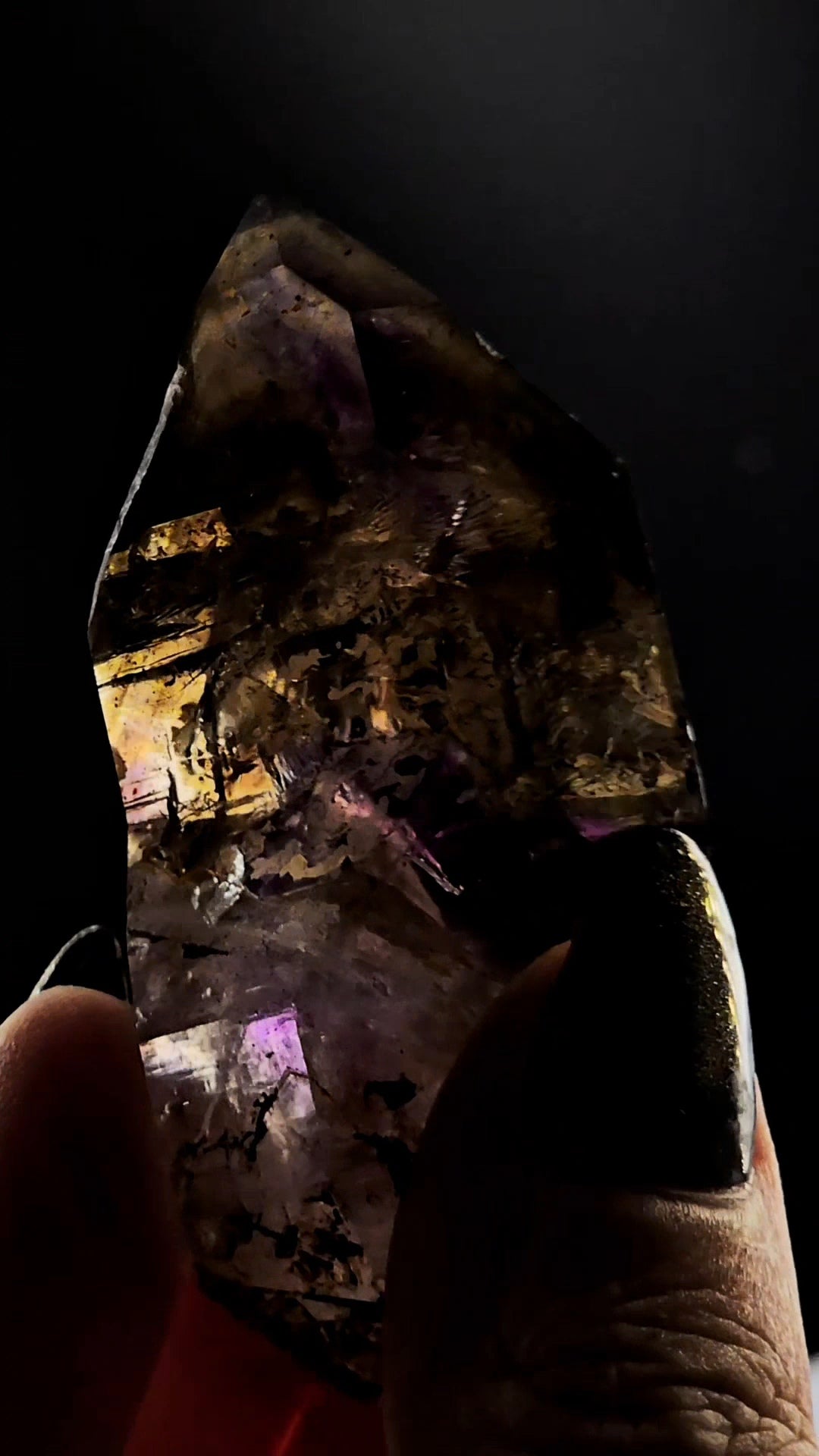 Little Ones Claim Goboboseb Scepter