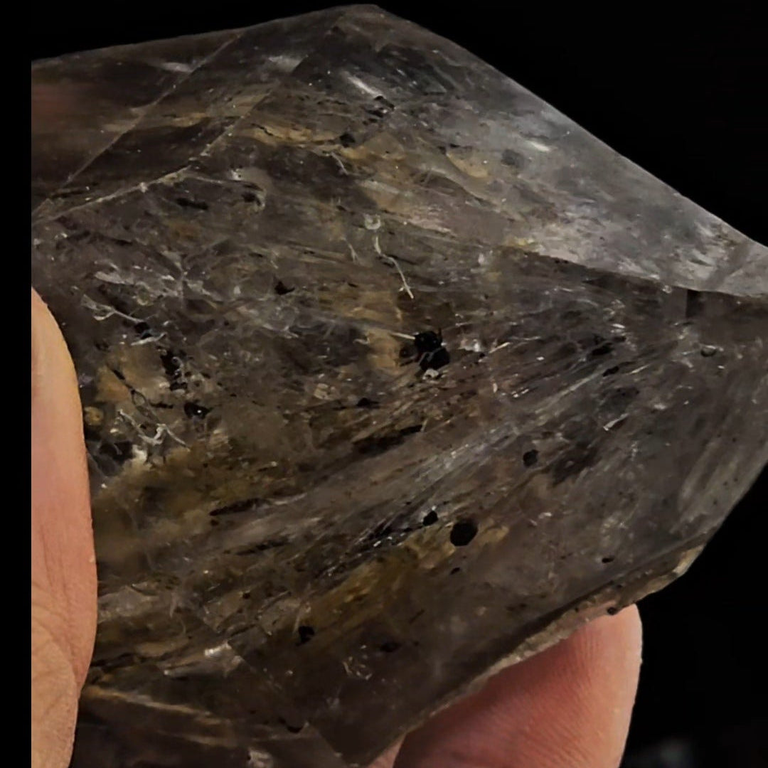 Elestial with Many Moving Carbon Enhydros