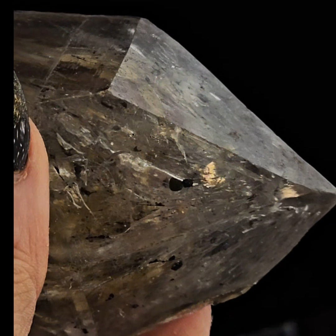 Elestial with Many Moving Carbon Enhydros