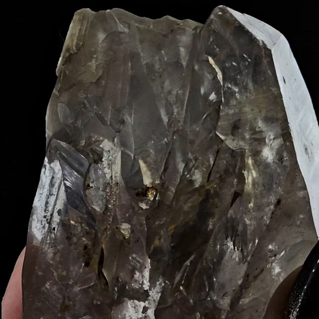 Elestial with Many Moving Carbon Enhydros