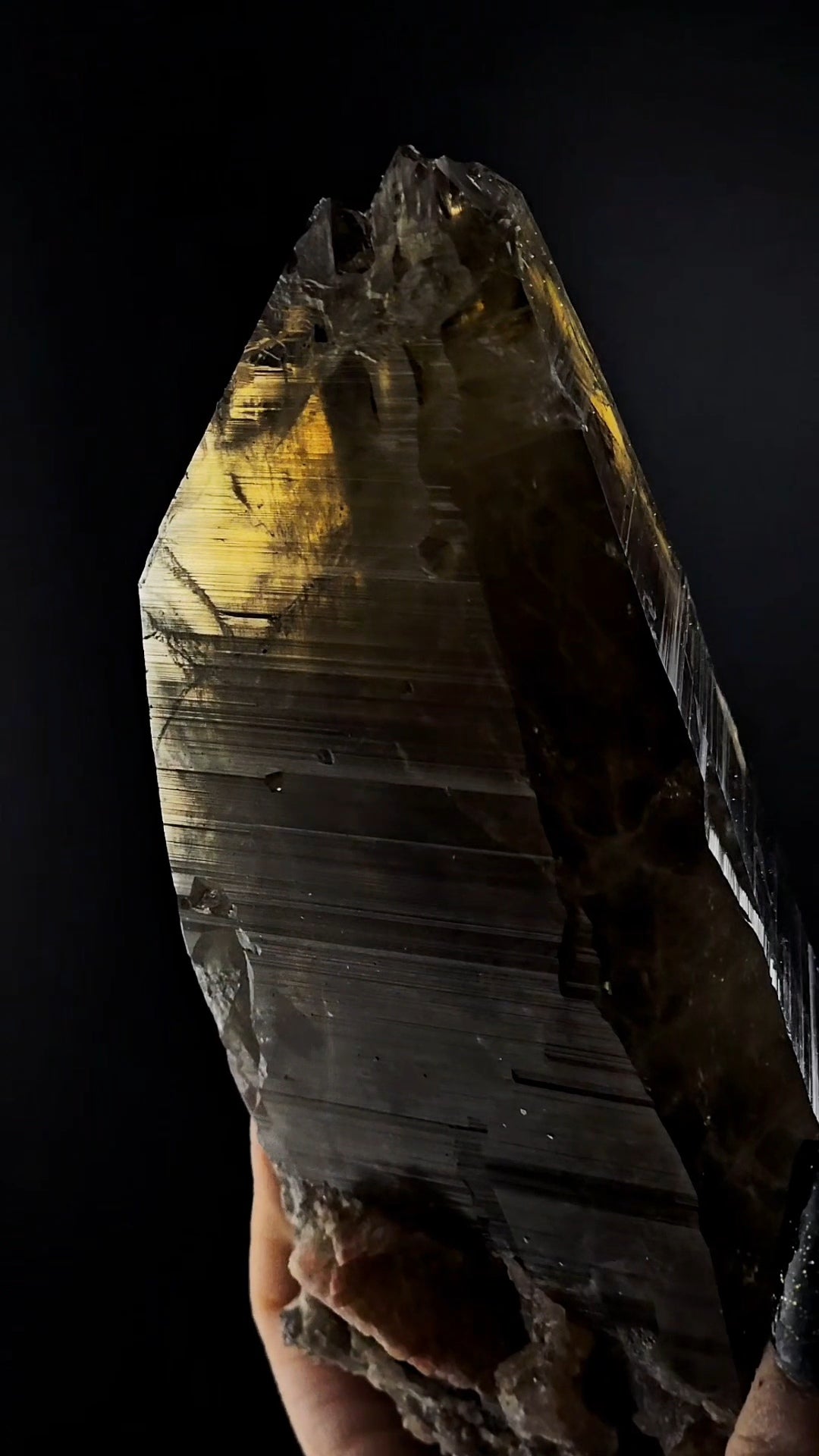 Smoky Citrine Massive Double Termination with coronal Termination