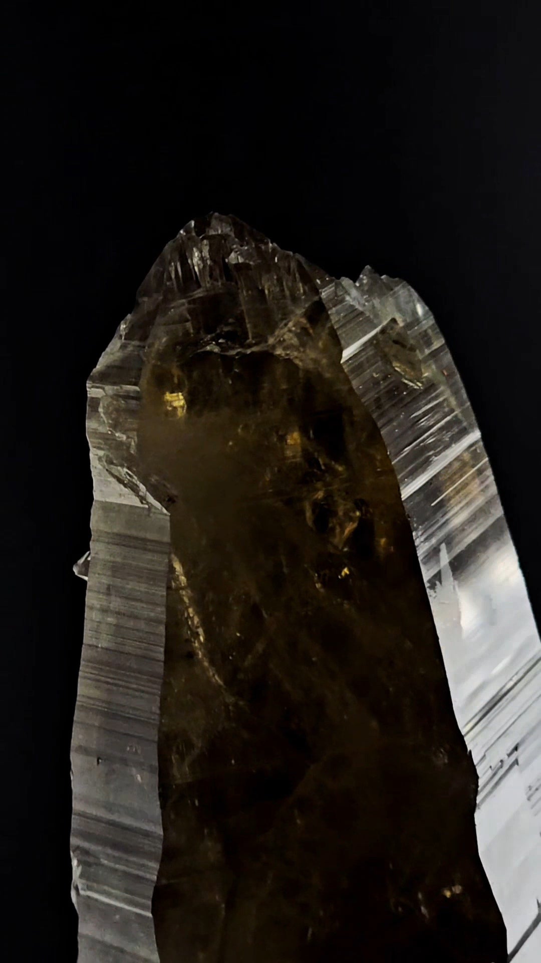 Smoky Citrine Massive Double Termination with coronal Termination